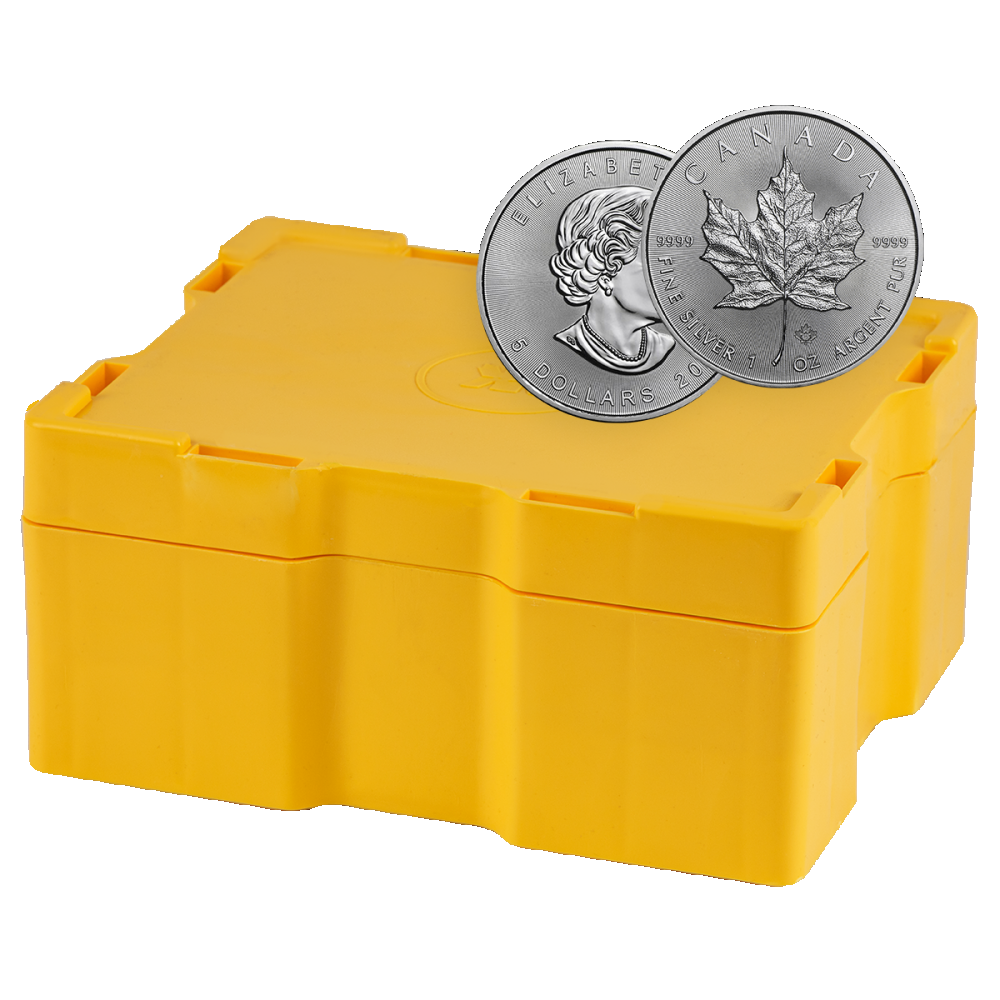 Zilveren Maple Leaf Monsterbox 500x1 OZ