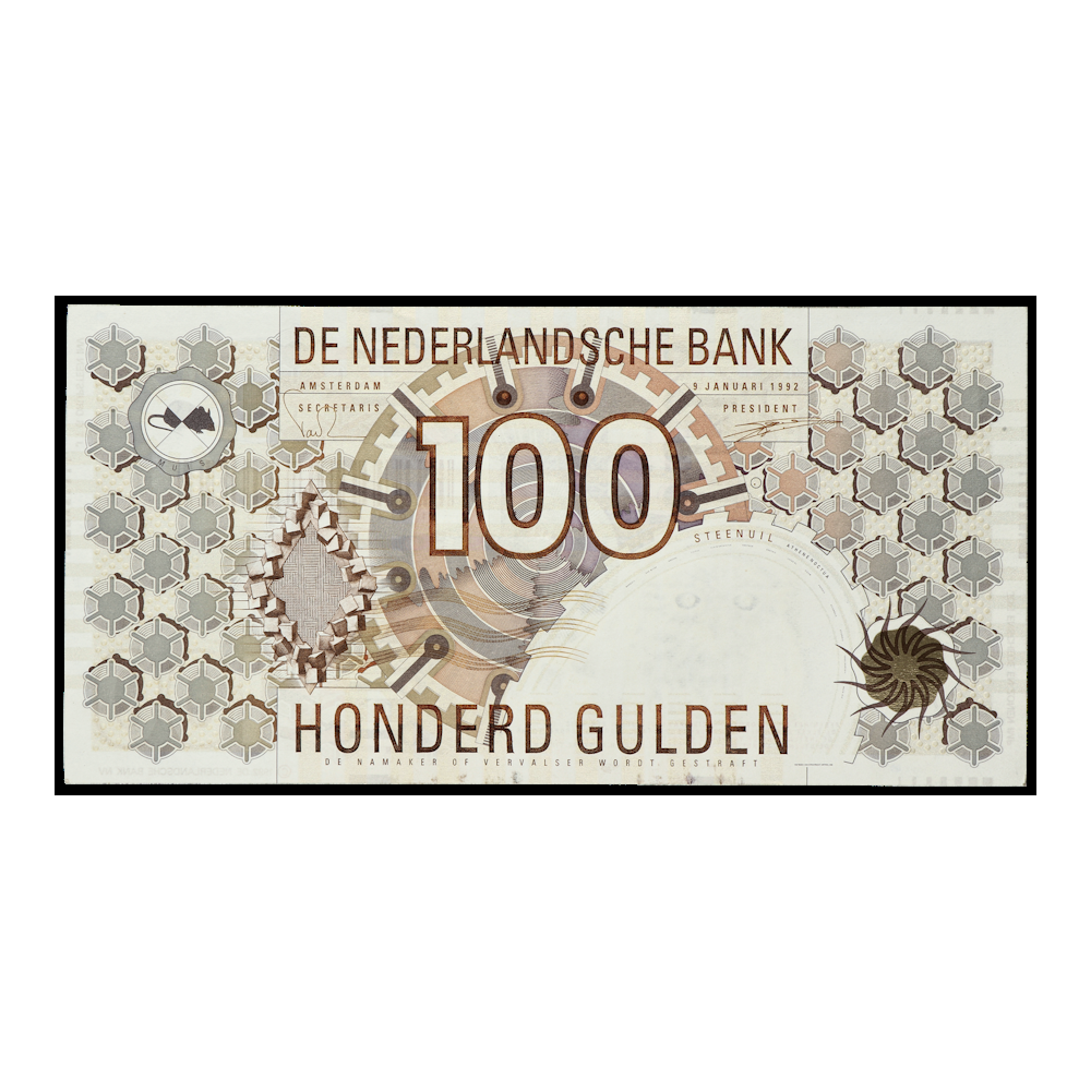 100 gulden 1992 Steenuil